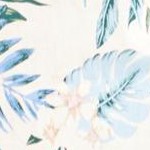 ivory tropical