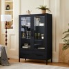 VYNXARIA 60'' Tall Display Cabinet with Tempered Glass Doors - Modern Storage Solution - 2 of 4