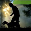 Unique Bargains Nylon Dog Leash Sponge Handle Reflective Rope Length 51.18" Diameter 1/2 inch - 2 of 4