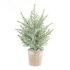 Melrose Frosted Holiday Pine Tree (Set of 6) - 2 of 3
