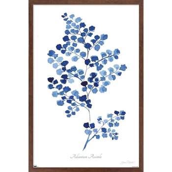 Trends International Jean Plout - Indigo Botanical Adiantum Assimle Framed Wall Poster Prints