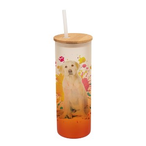 100 North 25 Ounce Frosted Glass Gradient Travel Tumbler With Straw & Wooden Lid, Yellow Labrador Paint Splatter Orange - 1 of 4