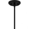 Quoizel Lighting Haven 1 - Light Pendant in  Matte Black - 3 of 4
