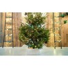 Tree Nest Contemporary Square Canvas Christmas Tree Collar, Large, Red, 27.6in - 4 of 4