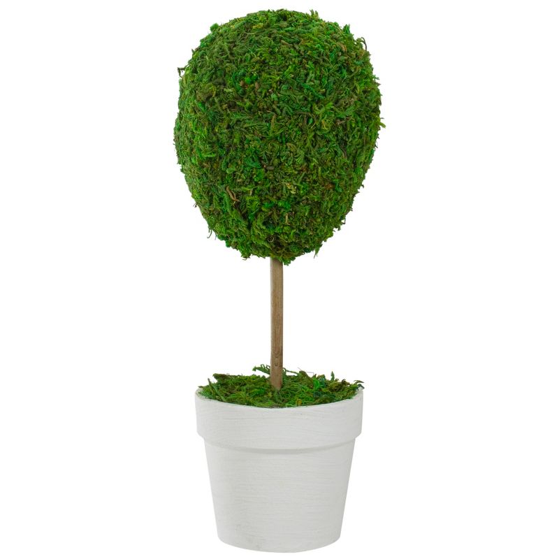 Northlight 14" Reindeer Moss Ball Potted Artificial Spring Topiary Tree - Green/White, 1 of 5