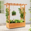 Tangkula 2PCS Raised Garden Bed Planter Box w/ Side & Top Trellis for Vine Climbing Plants - 2 of 4