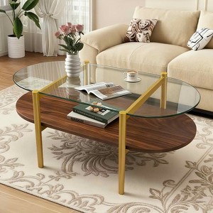 MAYEERTY Oval Shaped Glass Coffee Table with Double Layer Transparent Glass Coffee Brown MDF for Living Room - 1 of 4