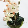 Plum & Post Phalaenopsis Mini Garden Artificial Plant Drop-In - 3 of 4