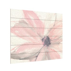 Trademark Fine Art - Chris Paschke 'Blush Clematis I' - 1 of 4