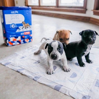 Pet Life Unlimited Puppy Smart Prints Training Dog Pads - L - 40ct