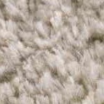 off white, medium gray