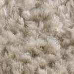 off white, medium gray