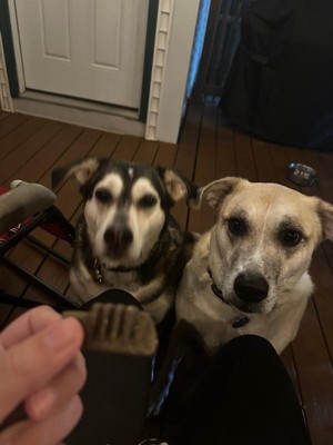 Guest review image 2 of 3, zoom in