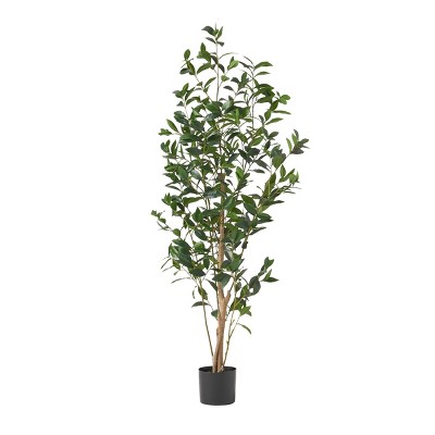 Syemin Artificial Plants Artificial Laurel Tree Glossy Lush Foliage Classic Shape No Watering for Living Room Balcony, Green, 62.75"*8"*8"