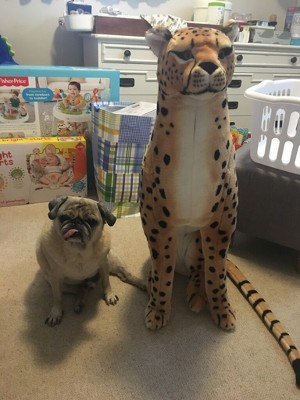 melissa and doug cheetah