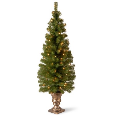 5ft National Christmas Tree Company Montclair Spruce Artificial Pencil Christmas Tree 100ct Clear