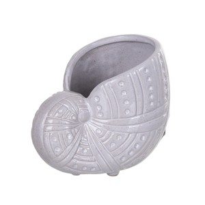 Beachcombers Large White Sea Snail Container - 1 of 3
