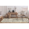 Liora Manne Marina Traditional Indoor/Outdoor Rug.. - 2 of 4