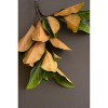 Artificial Magnolia Leaves Spray 40"L – Lush Greenery Stem, Set of 6 by Kalalou - 3 of 3