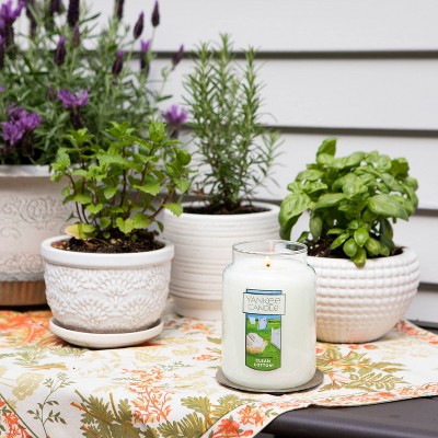 22oz White Clean Cotton Scented Jar Candle