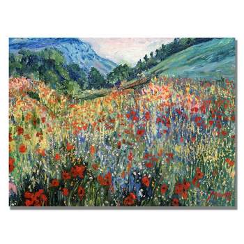 18" x 24" Field of Wild Flowers by Masters Art - Trademark Fine Art
