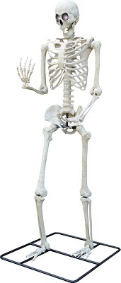 Sunstar 10 Ft. Standing Titan Light Up Skeleton