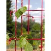 Bean Tower, Heavy Gauge Bean Trellis - Green - Gardener's Supply Company - 3 of 4
