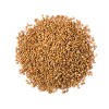Alfalfa Seeds for Sprouting – Edible Seeds, Pure, Vegan, Kosher, Bulk. Rich in Vitamin K, Vitamin C. High Germitation Rate. - 3 of 4