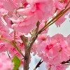 4.9ft/5.9ft Tall Artificial Cherry Blossom Tree, Decorative Faux Cherry Blossom Silk Tree in Pot, Home Indoor Corner Decor for Wedding Party Decor - 3 of 4