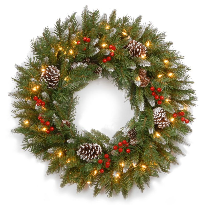 24" Prelit Flocked Christmas Wreath with Pinecones and Berries White Lights - National Tree Company, 1 of 5