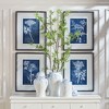 Plum & Post Cyanotype Queen Annes Lace Prints, Set Of 4 - 3 of 4