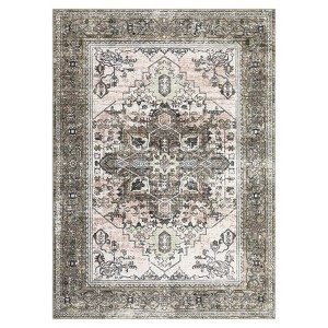 COZONY Washable Rug, Stain Resistant Non-Slip Area Carpet with Vintage Medallion for Living Room and Bedroom - 1 of 4