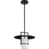 Progress Lighting Mystic 1-Light Pendant, Matte Black, Etched White Glass Shade - 3 of 3