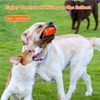 Squeaky Balls for Dogs, Rubber Football for Aggressive Chewers, Fetch Toys, Durable and Interactive Ball, Funny Squeaky Ball Heavy Duty Orange - 3 of 4
