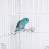 Prevue Pet Products Small Y Shaped Plastic Bird Perch 330 - 2 of 4