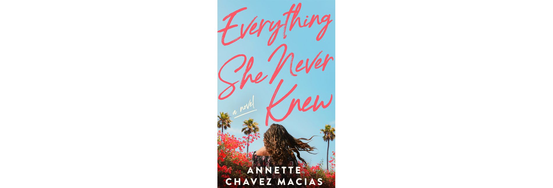 Everything She Never Knew - by  Annette Chavez Macias (Paperback)
