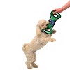 NCAA Penn State Nittany Lions  Field Dog Toy - 4 of 4