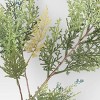 Cypress and Juniper Stem Arrangement Green - Threshold™ - image 3 of 4