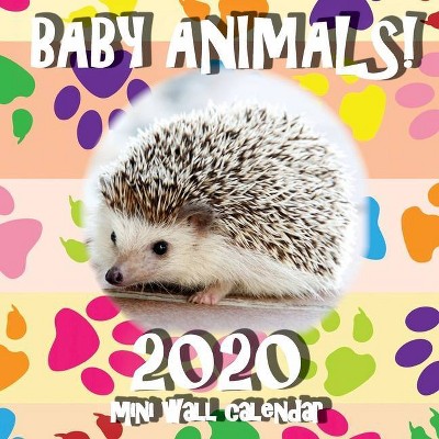 Baby Animals! 2020 Mini Wall Calendar - by  Sea Wall (Paperback)