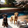 Mewoofun Adjustable Pet Bowl for Feeding, Travel-Ready Design - 3 of 4