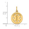 Black Bow Jewelry 14k Yellow Gold Paramedic Medical Disk Charm, 13mm - 4 of 4