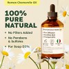 KUKKA Roman Chamomile Essential Oil for Tranquil Retreats and Peaceful Relaxation - Roman Chamomile Essential Oil 4 Oz - 2 of 4