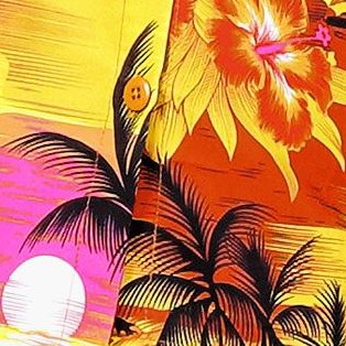 palm tree view orange