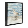 Stupell Industries Balancing Sandpiper on Shore Black Framed Floater Canvas Wall Art - 3 of 4