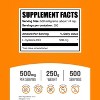 BulkSupplements L-Cysteine HCl Powder - 2 of 4