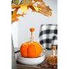Gulches Series Multicolored Shatterproof Grid Pumpkin Harvest Festival Ornament - 2 of 4
