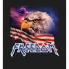 Americana Freedom Eagle 
 Adult Long Sleeve Hoodie - 2 of 2