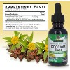 Nature's Answer Rhodiola Liquid Extract 100mg, 1 Oz - 3 of 4