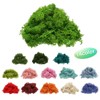 Unique Bargains Decoration Craft Artificial Plants Dried Preserved Reindeer Moss 4 OZ - 2 of 4