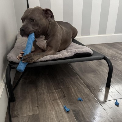 Guest review image 1 of 1, zoom in